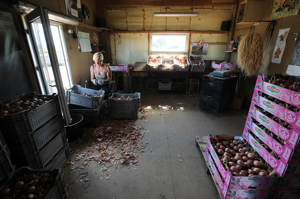 Productrice doignons Danielle CastelMarcelMochet