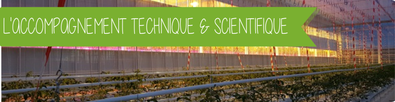 ACCOMPAGNEMENT TECHNIQUE ET SCIENTIFIQUE