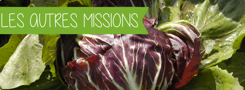 AUTRES MISSIONS