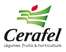 Cerafel - Association d'Organisations de Producteurs (AOP) légumes, fruits et horticulture